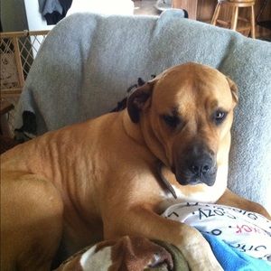 Meet your Posher, Georgia